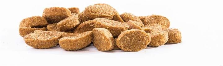 Actual product image Fit_active Dry Food For Dogs Fit Active Everyday S (1 pcs., 4000 g)