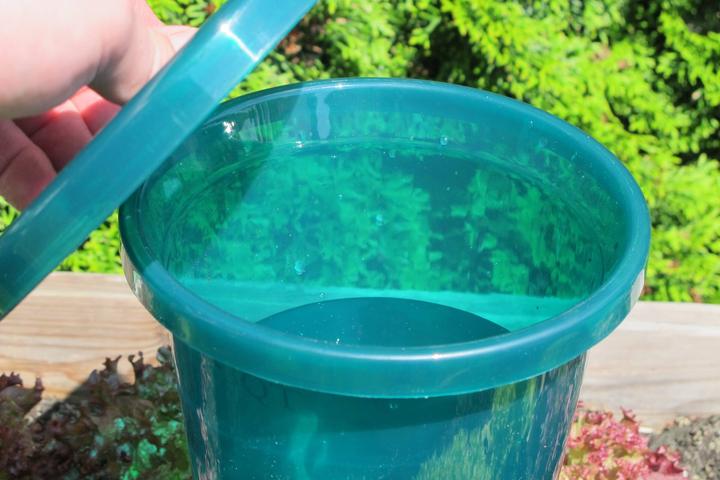 Actual product image Bio Green Hydro Cup Set (Clay cone)