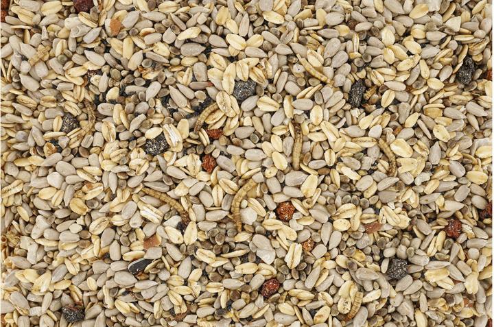 Image du produit Schweizer Eric Vogelfutter Mélange pour oiseaux sauvages Expert 5 kg (1 x, 5 kg)