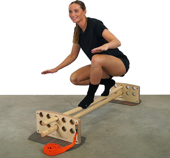 Actual product image Pedalo Balance Trainer Challenger Artist