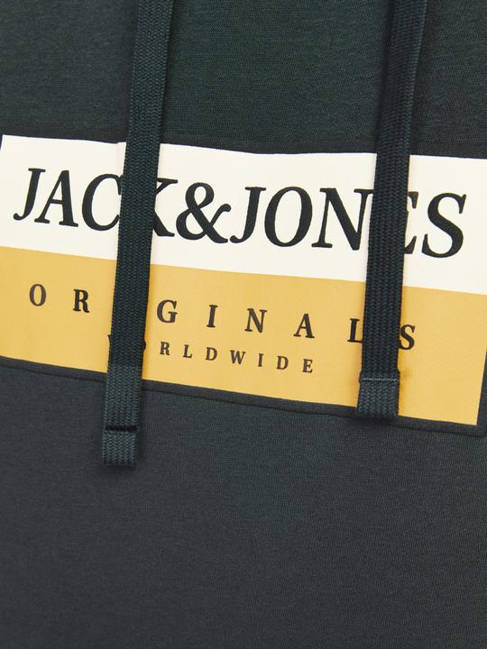 Actual product image Jack & Jones Jorfrederiksberg Box Sweat Hood Sn (S)
