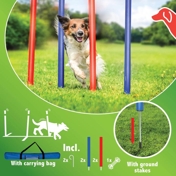 Immagine prodotto Pet Toys Set slalom per cani (Destrezza)