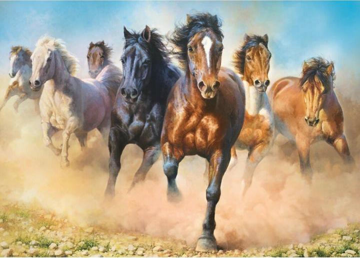 Produktbild Trefl Puzzle Wilde Pferde 2000 Teile (2000 Teile)