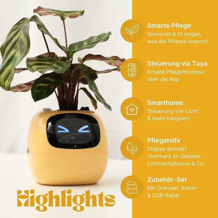Actual product image Hermex Electronic flower pot Smart flower pot (11 cm)