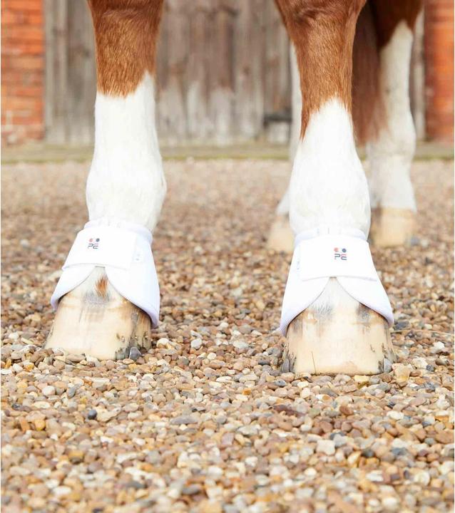 Produktbild Premier Equine Ballistic