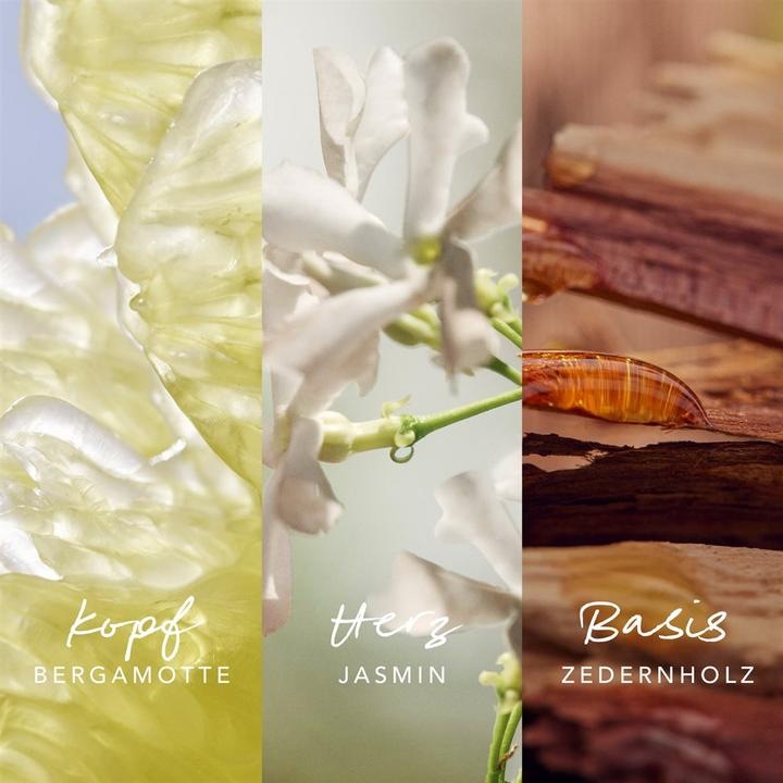 Produktbild Mexx INSPIRED Nature Body Splash 250 ml (Körperlotion, 250 ml)