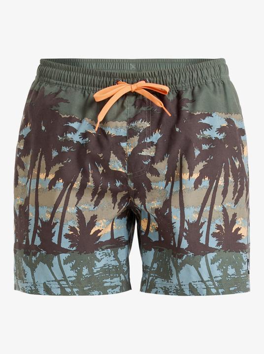 Actual product image Quiksilver Everyday Straight Volley 15 (M)