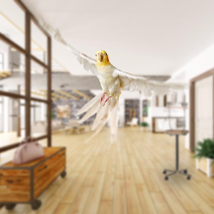 Actual product image Relaxdays XL Parrot Activity Centre