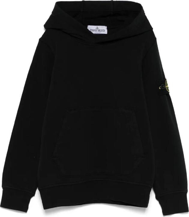 V0029