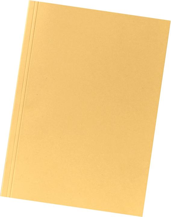 Actual product image Falken Aktensammler (A4, 1 x)