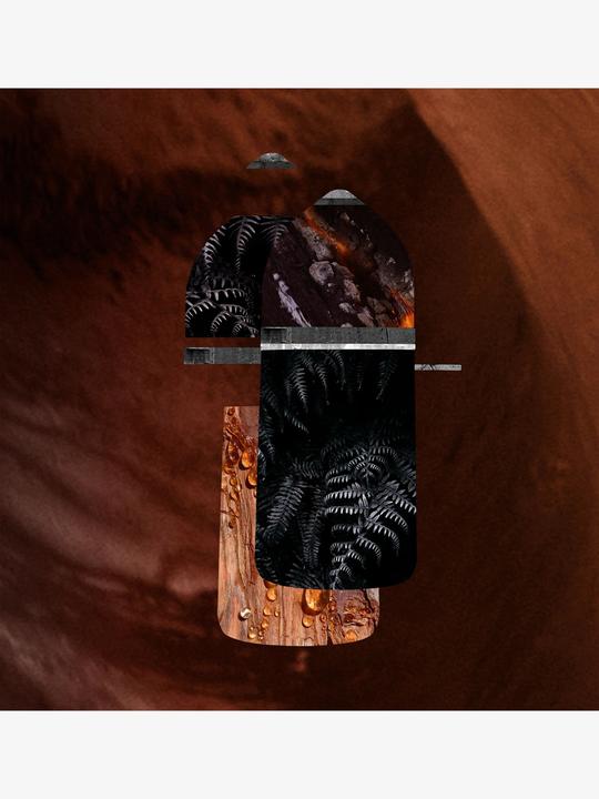 Image du produit Cartier Pasha de Noir Absolu (Eau de parfum, 100 ml)