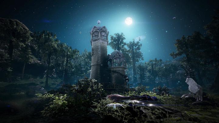 Actual product image Pearl Abyss Black Desert: Prestige Edition (PS4, DE)