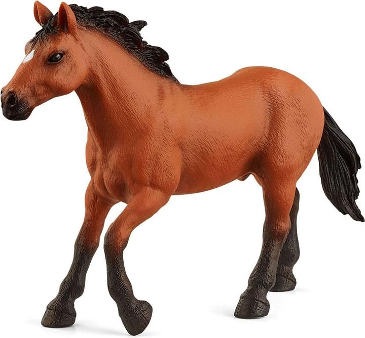 Actual product image Schleich 72152 Appaloosa Stallion
