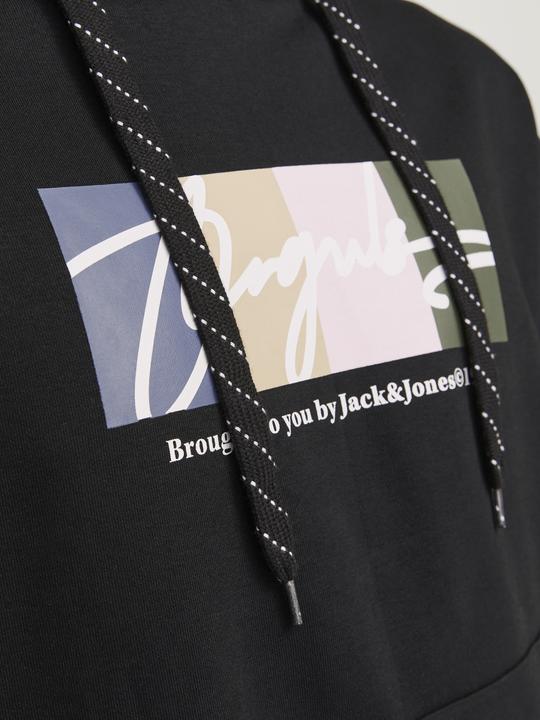 Immagine prodotto Jack & Jones Jorportland Block Sweat Hood Ln (S)