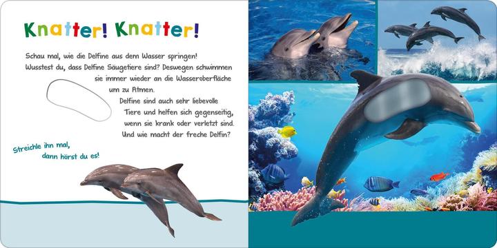 Actual product image Hör mal rein, wer kann das sein? – Im Ozean (German)