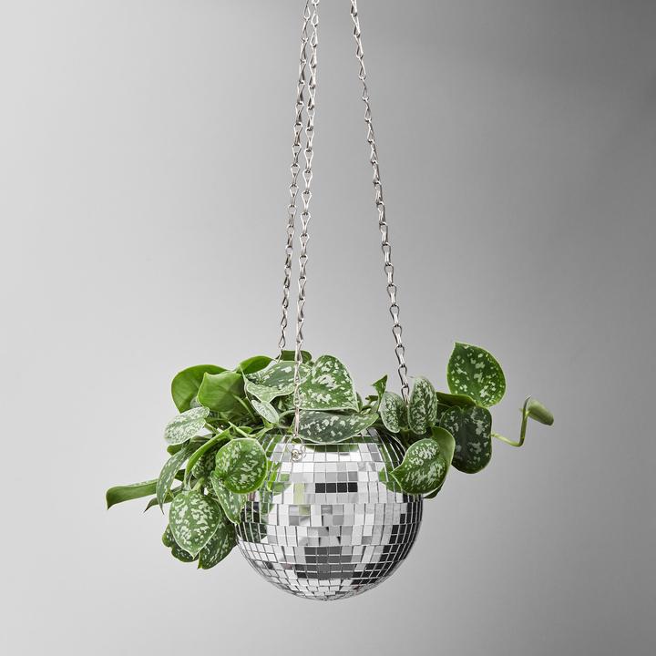 Produktbild home24 Disco (10 cm)