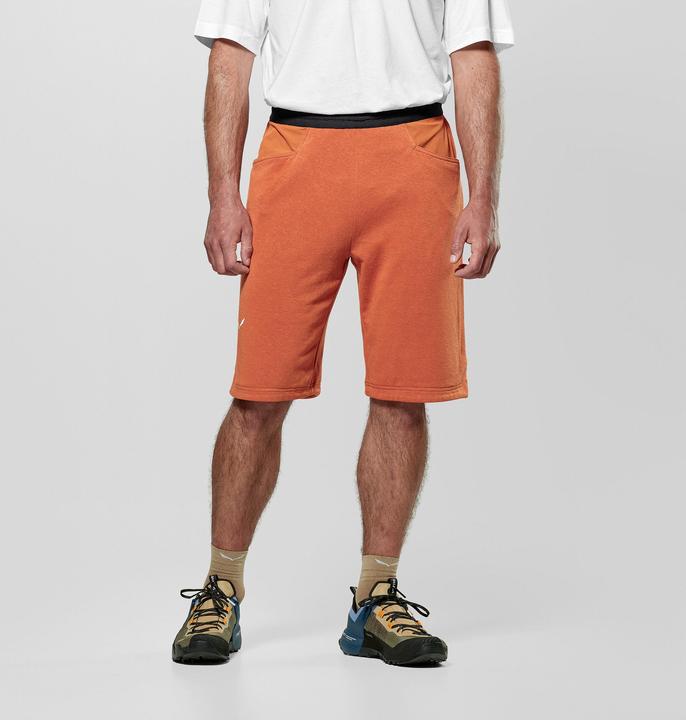 Actual product image Salewa Agner Hemp Shorts M (XL)