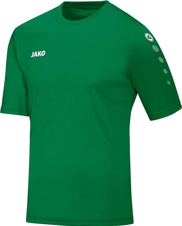 Image du produit JAKO Maillot équipe Ka (L) (L)