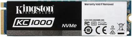 Kingston Kc1000 (480 GB, M.2)