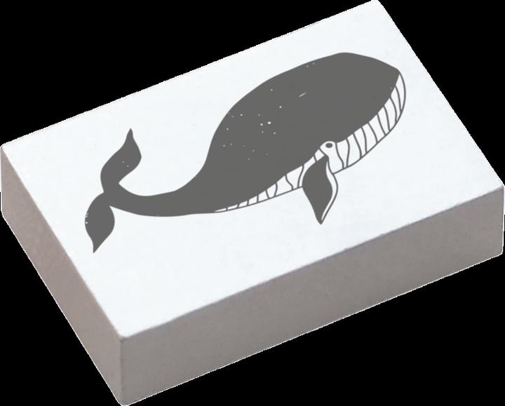 Image du produit Colop Tampon May & Berry
