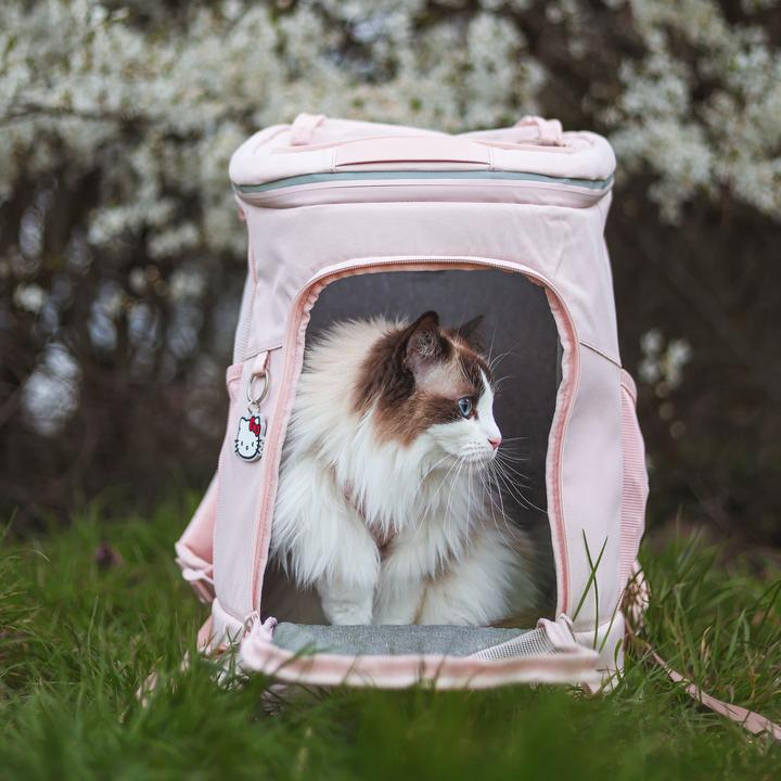 Produktbild LucyBalu HOP-ON Katzenrucksack - Hello Kitty Edition (Katze, Sicherheitsverschluss)