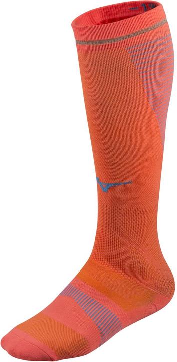 Corail chaud