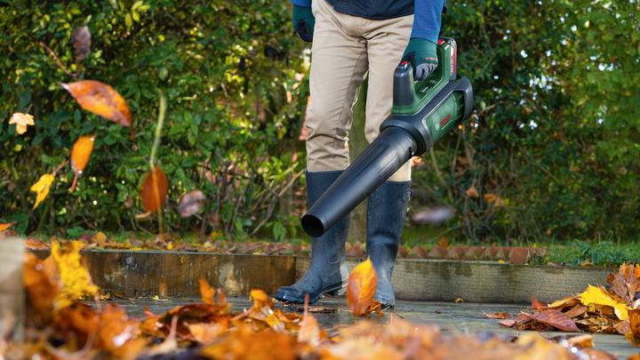 Actual product image Bosch Home & Garden AdvancedLeafBlower 36V-750 (Rechargeable battery operated, Leaf blower)