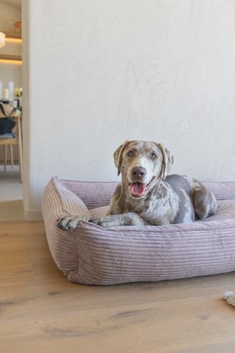Produktbild Designed by Lotte Liegebett Ribbed (Hund)