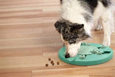 Actual product image Nina Ottosson Dog Worker Composite Level 3 (Intelligence toy dog)