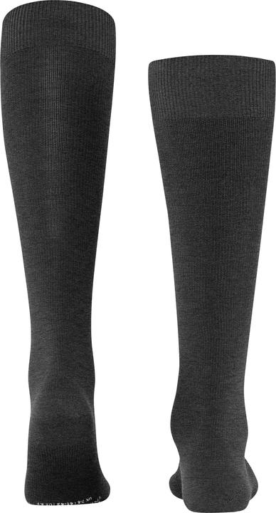 Actual product image Falke Energizing Wool Men Knee-high Socks (43 - 44)