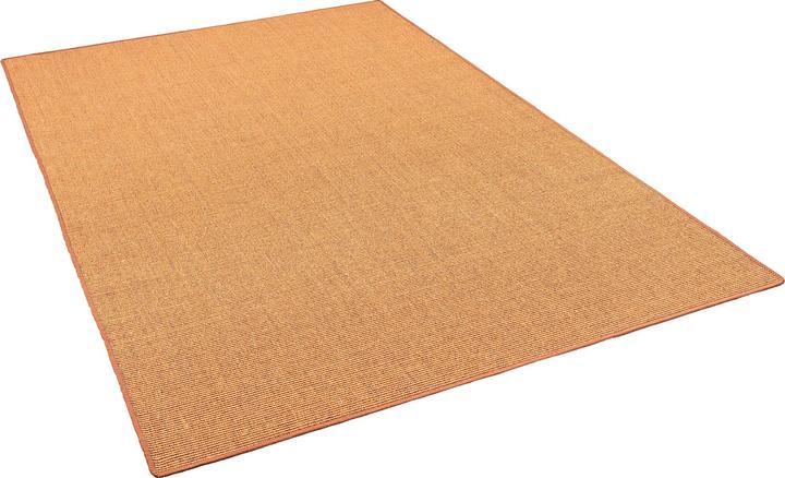 Image du produit Snapstyle Tapis sisal classique (200 x 300 cm)