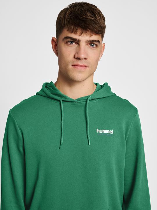 Actual product image hummel hmlLGC GABE HOODIE (L)