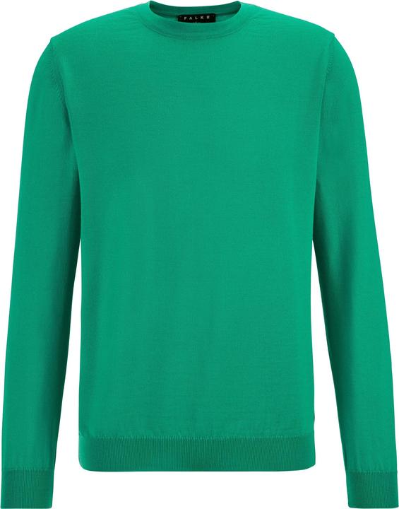 Image du produit Falke Pulls pour hommes (XXL)
