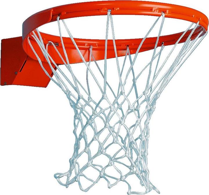 Sport-Thieme Basketballkorb Premium, abklappbar