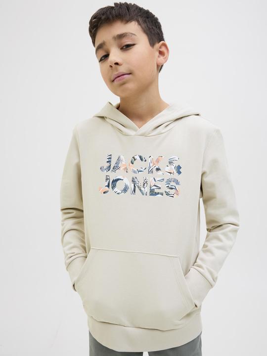 Actual product image Jack & Jones Jjebryan Corp Logo Sweat Hood Noos Jnr (140)