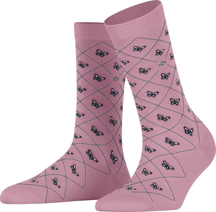 Polvere Rosa
