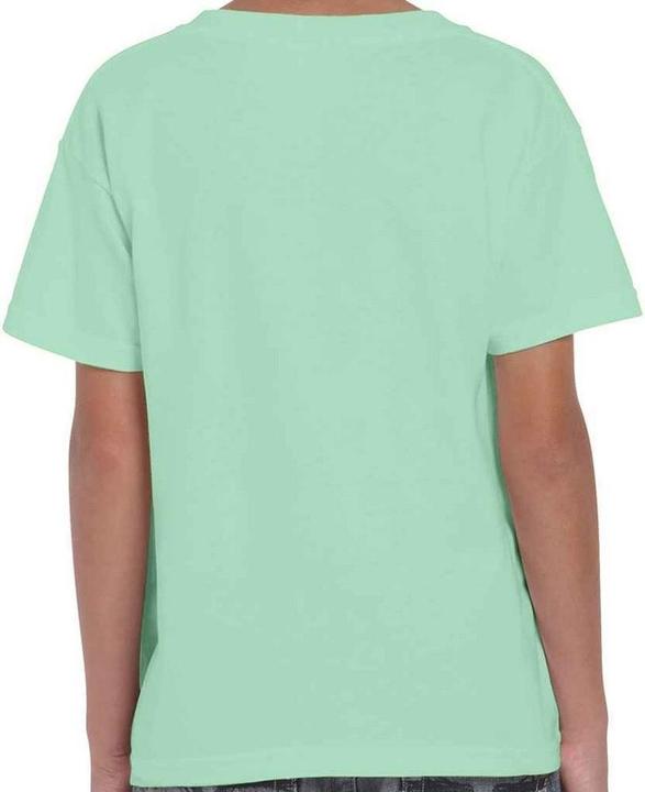 Actual product image Gildan Childrens/Kids Plain Cotton Heavy T-Shirt (128)