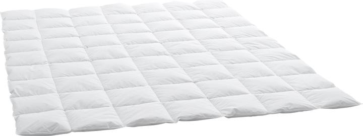 Immagine prodotto Billerbeck Edition Thea Clima Light (570 g, 160 x 240 cm)
