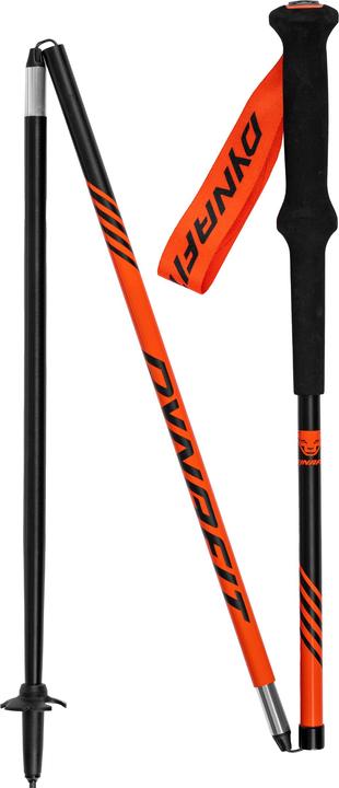 Produktbild Dynafit Alpine Stock (110 cm)
