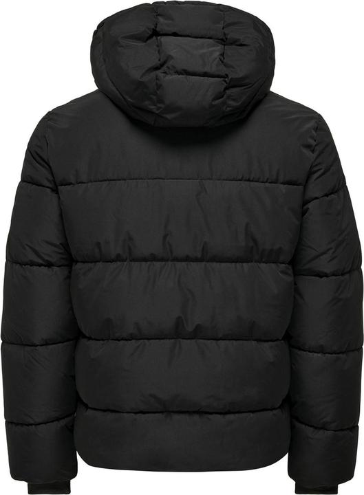Produktbild Only & Sons ONSMELVIN HOOD PUFFER JACKET OTW VD Daunenjacke (M)