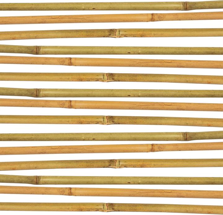 Produktbild BigDean Bambus-Pflanzenstab Rankhilfe (50 Stück) (105 cm, 1 cm)