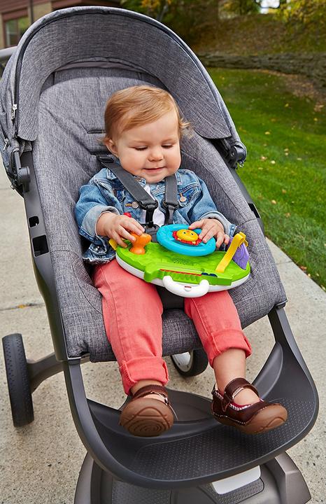 Actual product image Fisher-Price Rollin' & Strollin' Dashboard