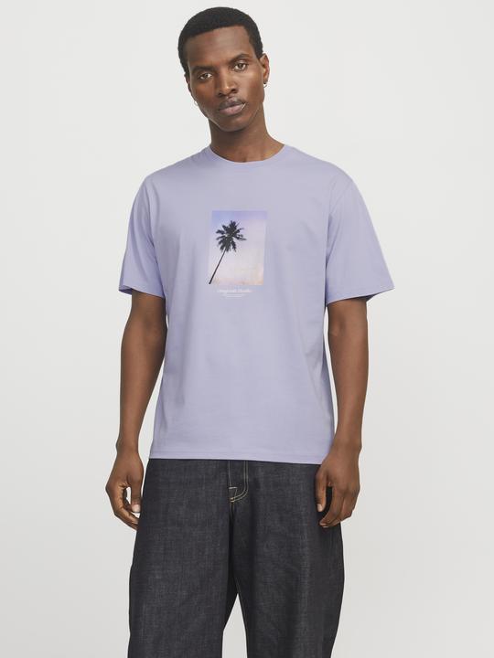 Image du produit Jack & Jones Jorvesterbro Picture Tee Ss Crew Neck Sn (XL)