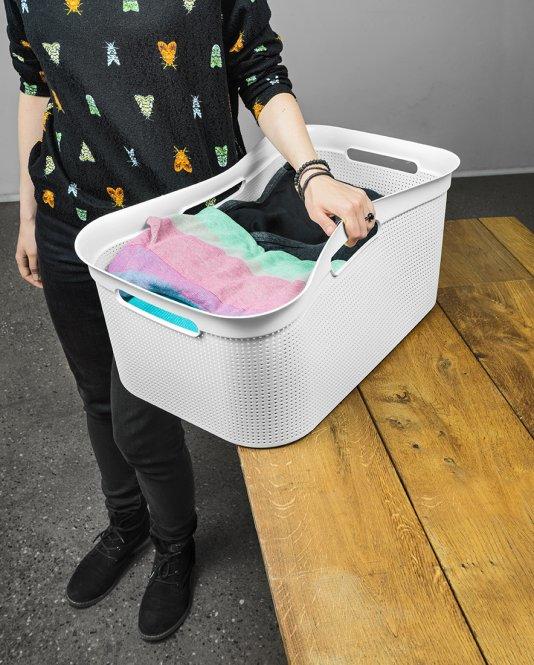 Image du produit Rotho Brises (41 l)