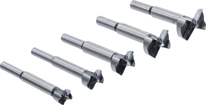 Actual product image BGS Forstner bit set (25 mm, 20 mm, 30 mm, 15 mm, 35 mm)