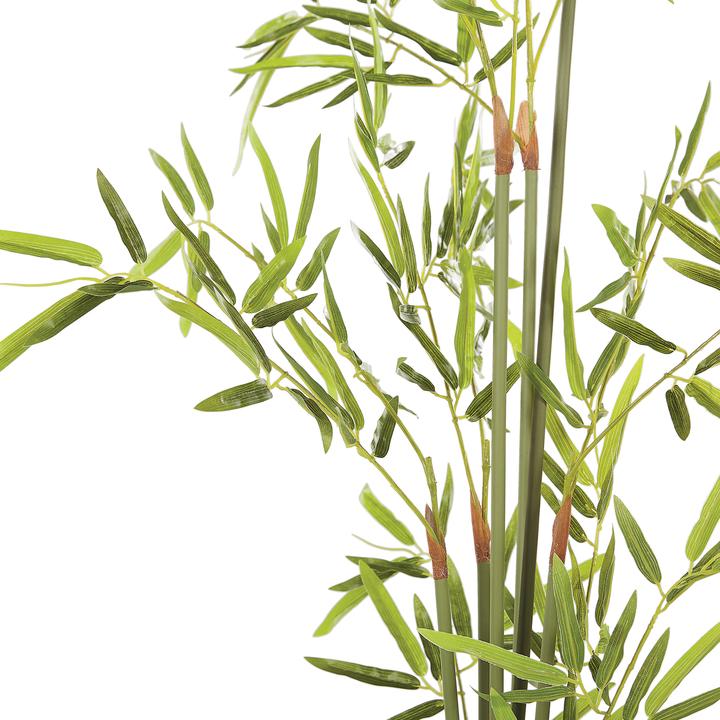Produktbild Beliani Bambusa Vulgaris (100 cm)
