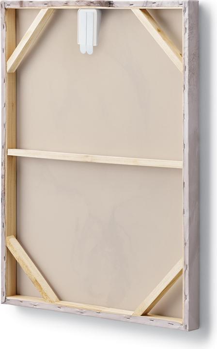 Immagine prodotto Command Leinwandaufhänger XL (2.20 kg)