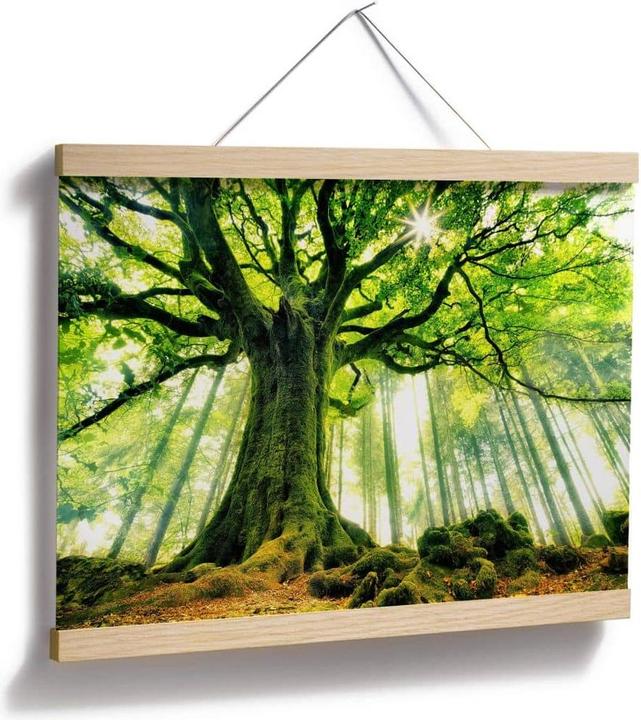 Immagine prodotto Trenddeko Kiciak - Bosco delle fiabe (40 x 30 cm)