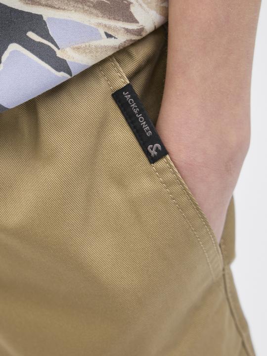 Produktbild Jack & Jones Relaxed Fit Loose Fit Shorts Loose Fit Shorts (164)