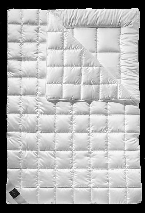 Immagine prodotto Billerbeck Rheumalind (2650 g, 200 x 210 cm)